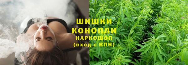 стаф Абаза