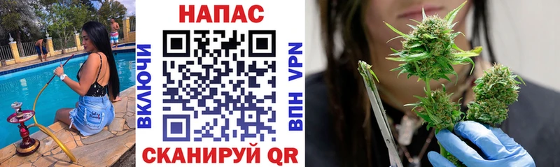 где найти   Каменногорск  Бошки марихуана тримм 